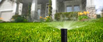 Roseville and Folsom California asked to reduce water usage! 